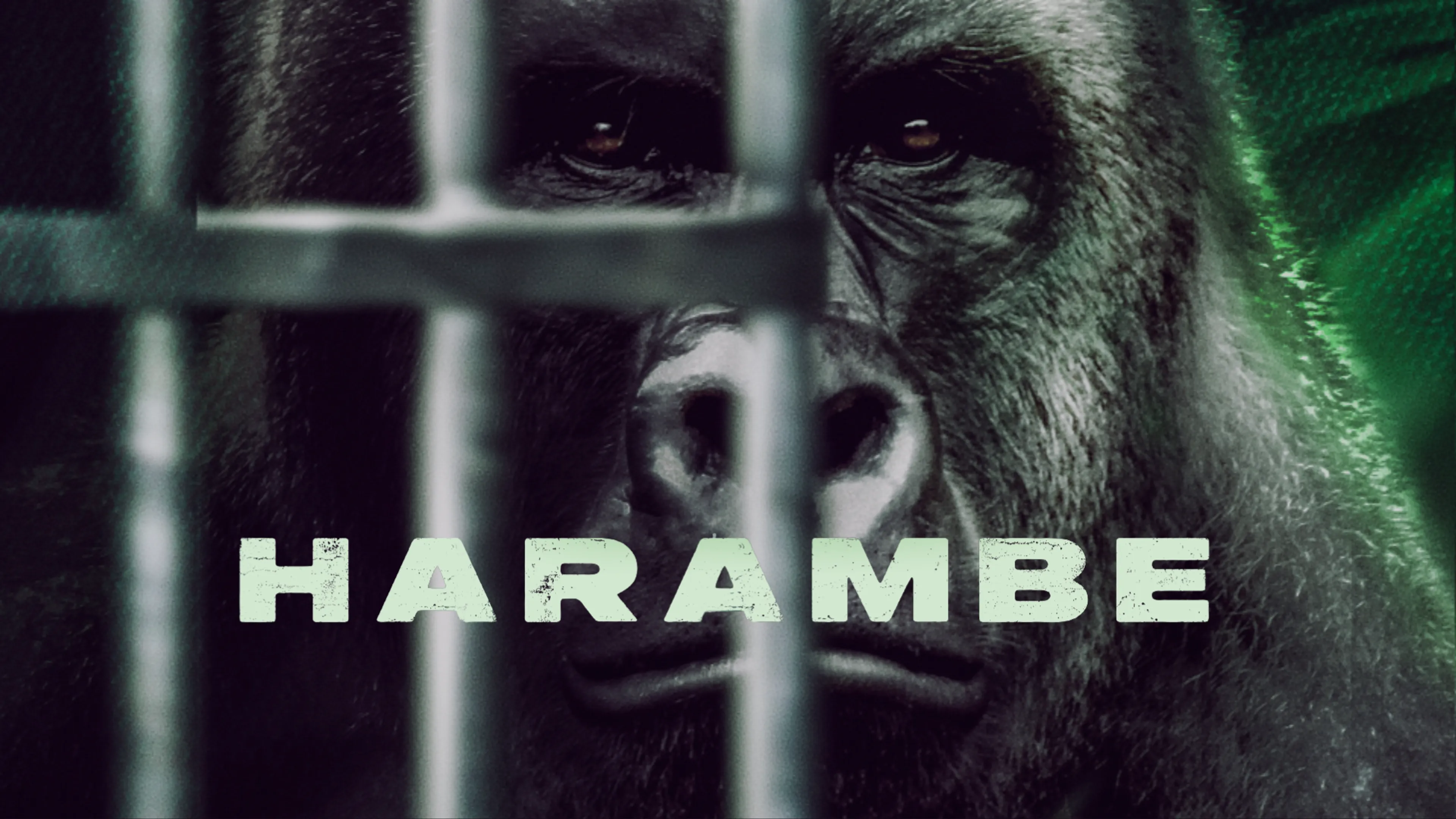 Harambe poster